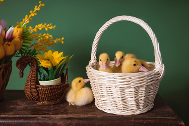 Similar image 22169315