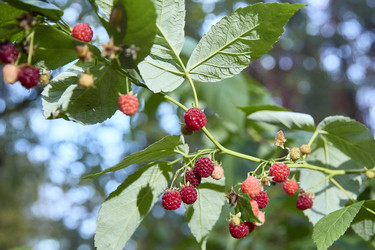 Similar image 22194323