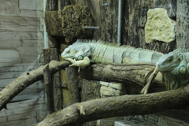 Similar image 22181266