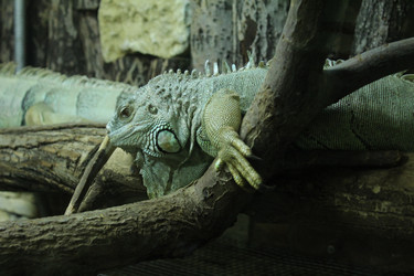 Similar image 22181267