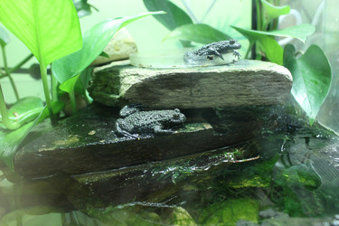 Similar image 22181269