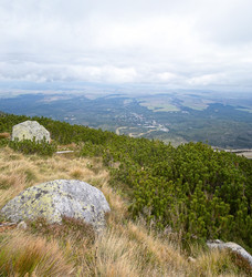 Similar image 22170538