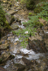 Similar image 22170551