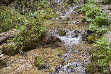 Similar image 22170554