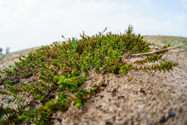 Similar image 22191743