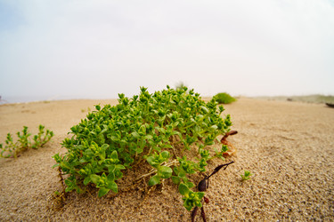 Similar image 22191745