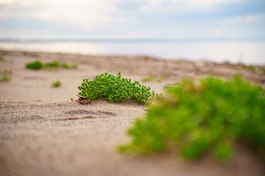 Similar image 22191747