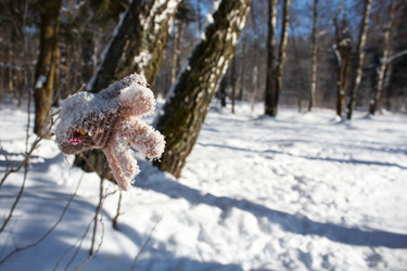 Similar image 22170569