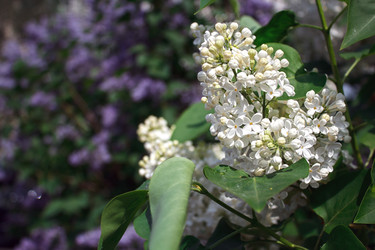 Similar image 22170572