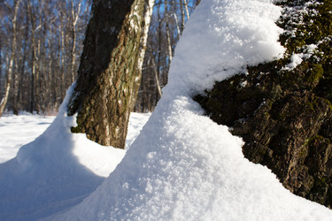 Similar image 22170573