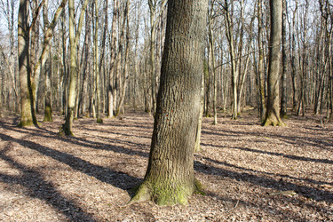 Similar image 22170575