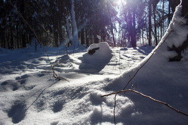 Similar image 22170577