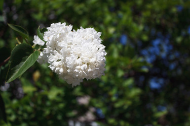 Similar image 22170578