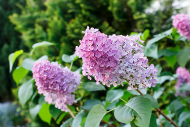 Similar image 22170582