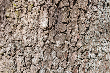 Similar image 22170589