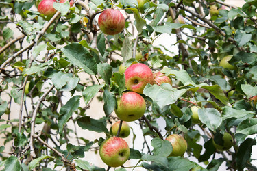 Similar image 22170602