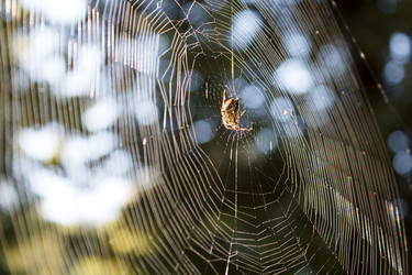 Similar image 22170604