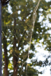 Similar image 22170605