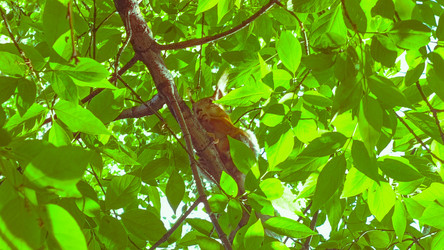 Similar image 22169317