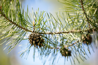 Similar image 22176342