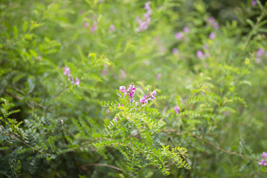 Similar image 22176355