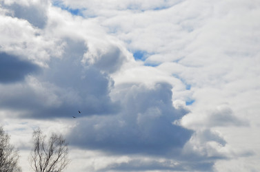 Similar image 22174422