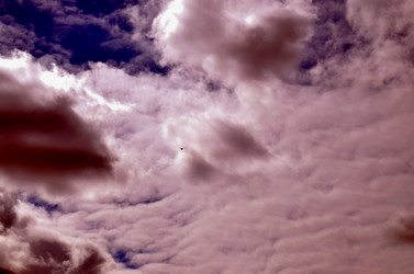 Similar image 22174423