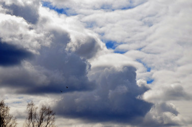 Similar image 22174426