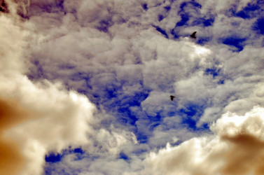 Similar image 22174430