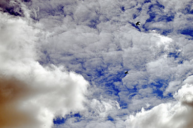 Similar image 22174432