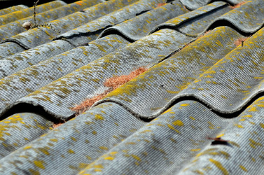 Similar image 22174433