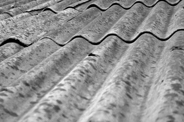 Similar image 22174435