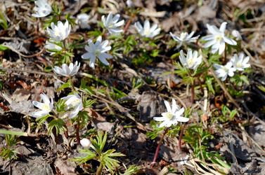 Similar image 22174436