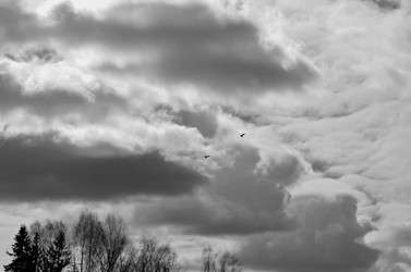 Similar image 22174437