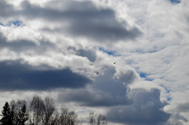 Similar image 22174438