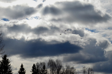 Similar image 22174439