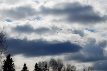 Similar image 22174441