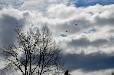 Similar image 22174442