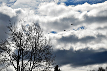 Similar image 22174443