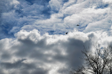 Similar image 22174444