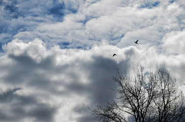 Similar image 22174446