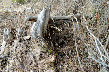 Similar image 22174447