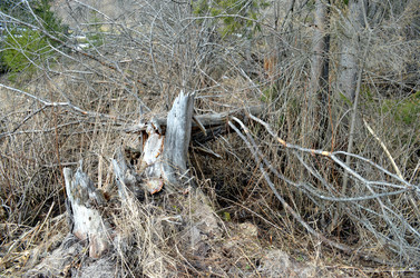 Similar image 22174448