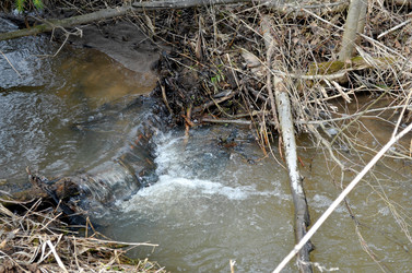 Similar image 22174449