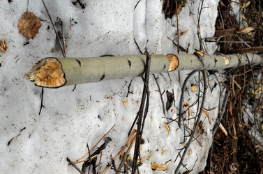 Similar image 22174452