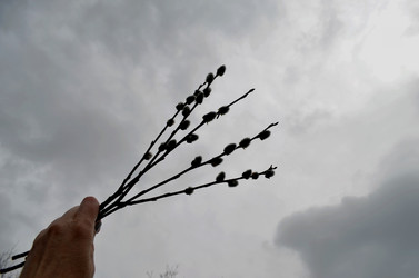 Similar image 22174453