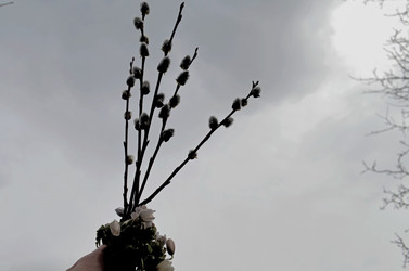 Similar image 22174455