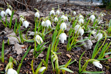 Similar image 22174456