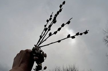 Similar image 22174457