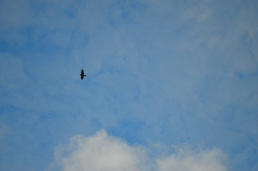 Similar image 22174458